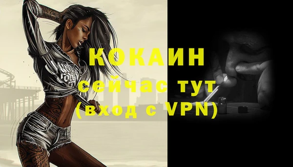 винт Коряжма